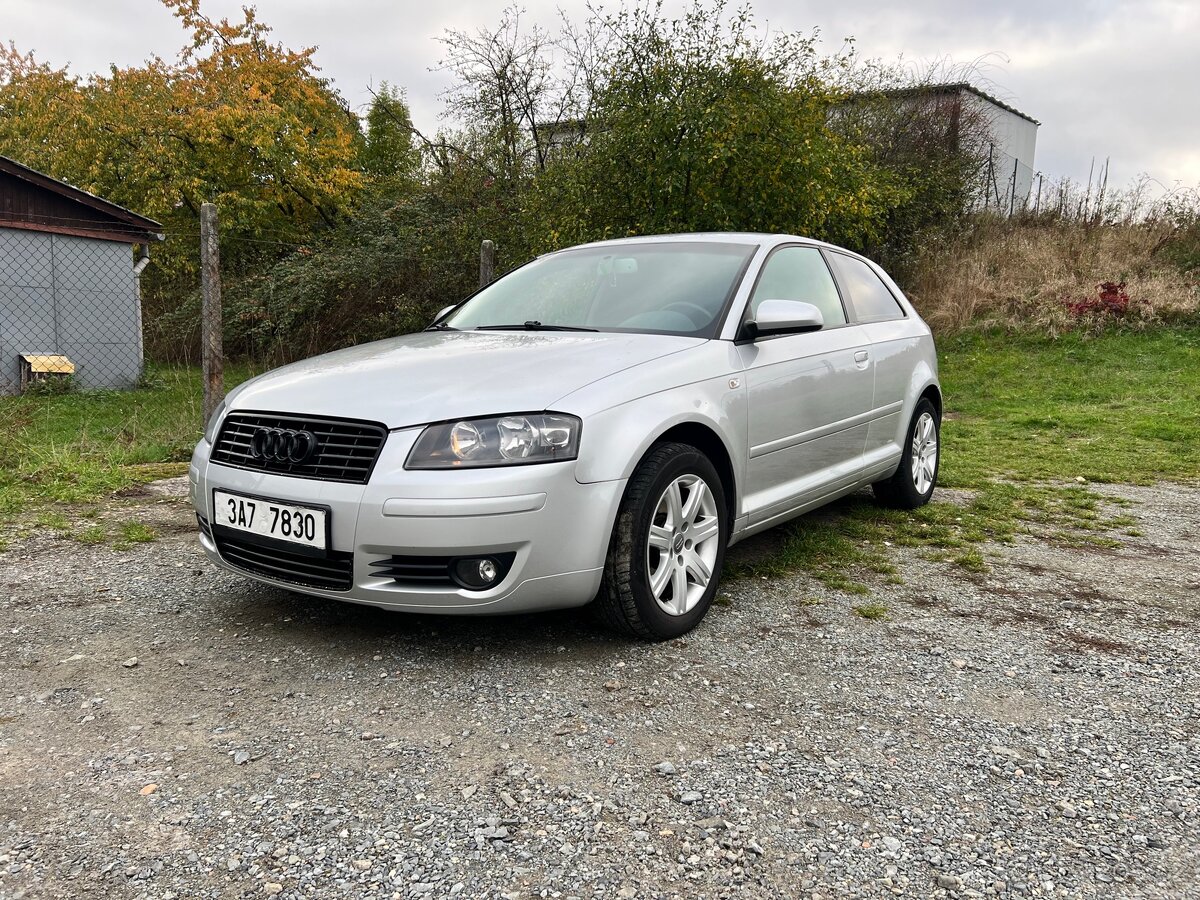 Audi A3 8P 1.9 TDI