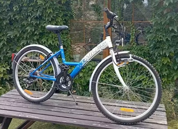 Dívčí kolo 24"