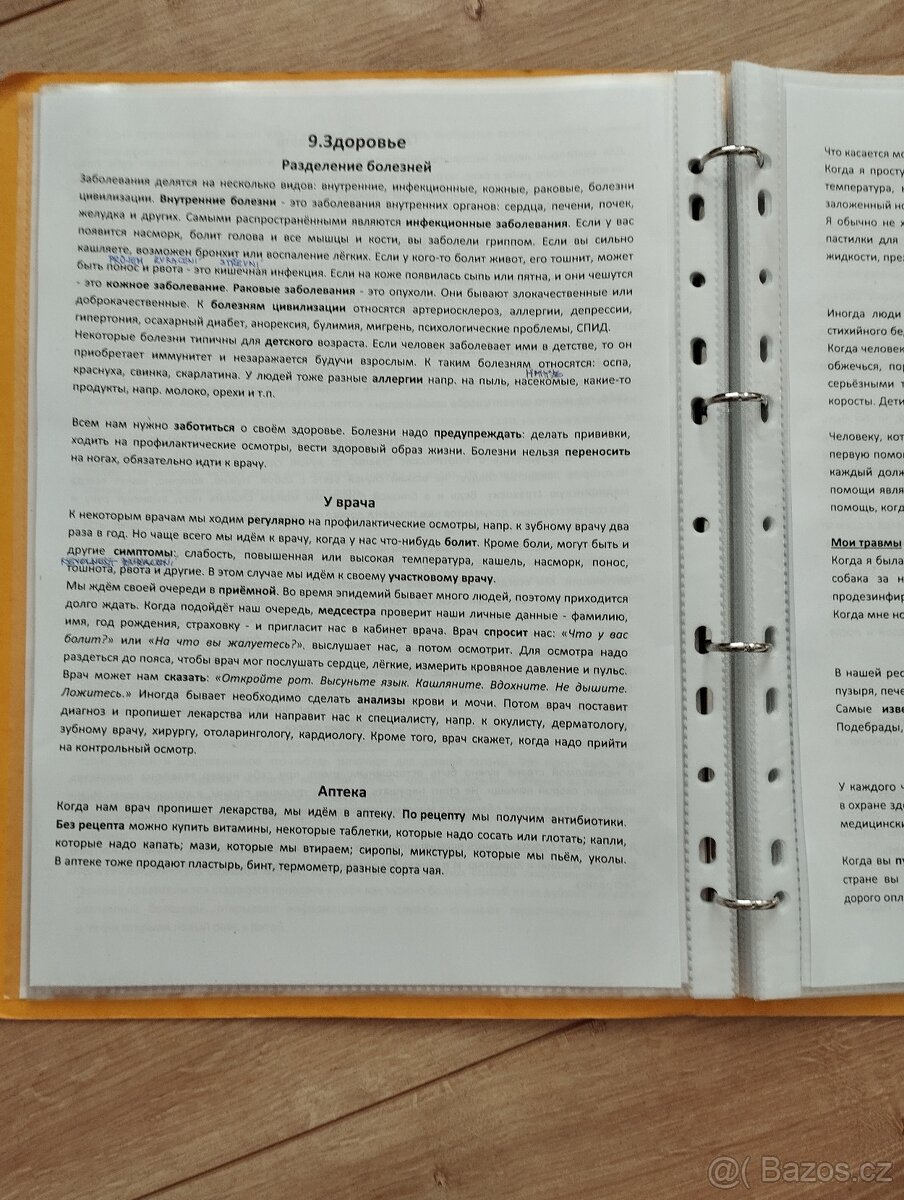 Ruština-vypracované maturitní otázky