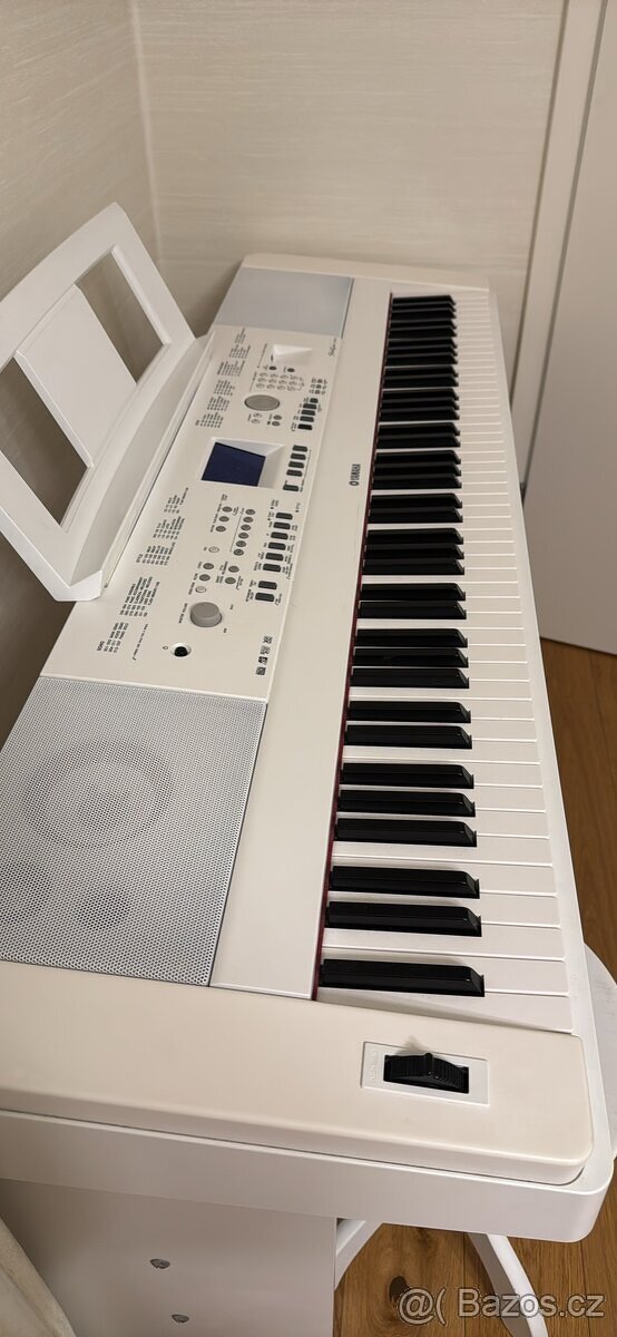 Yamaha portable rand dgx 50
