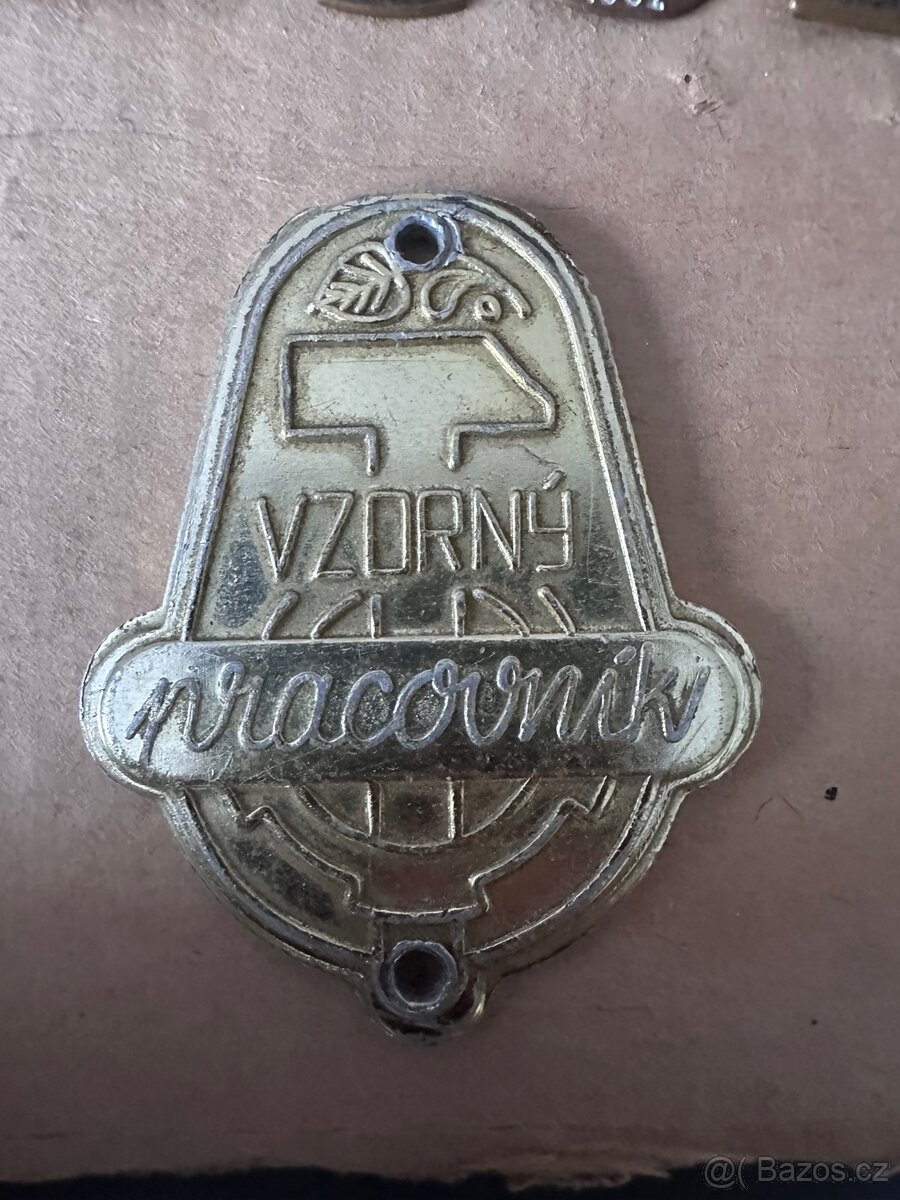 Vzorný pracovník SNV