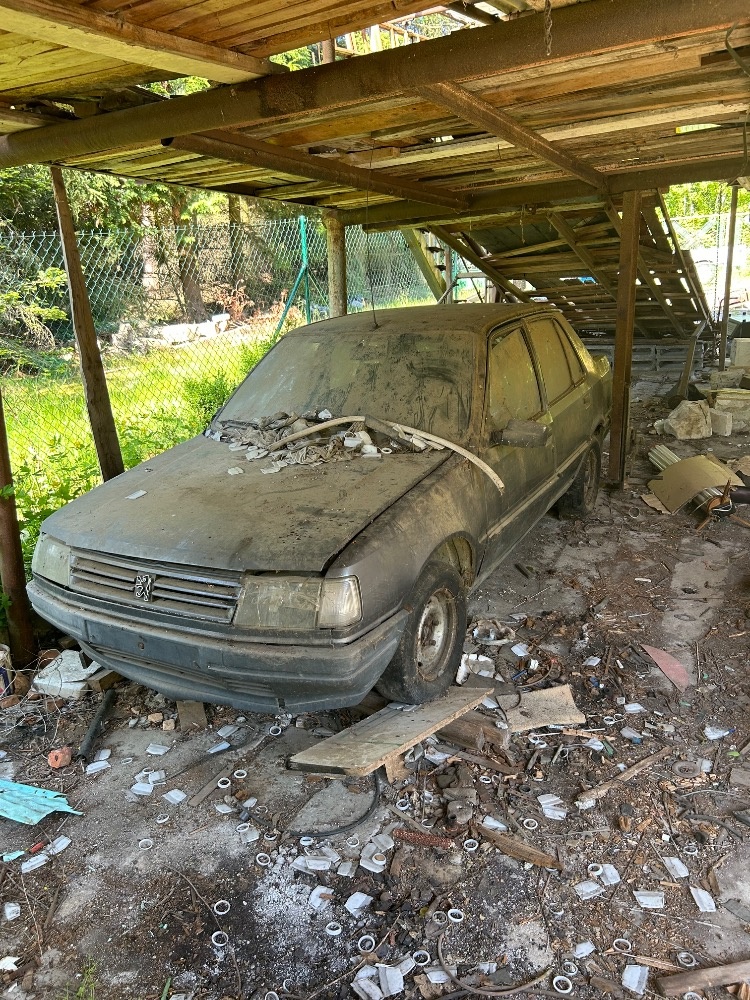 Peugeot 309, 2.0 Diesel