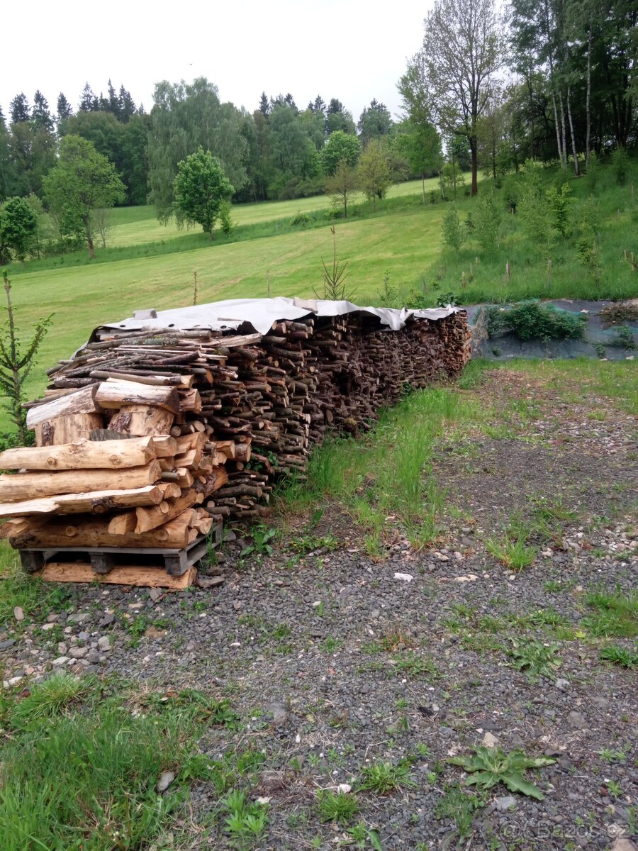 Palivové dřevo