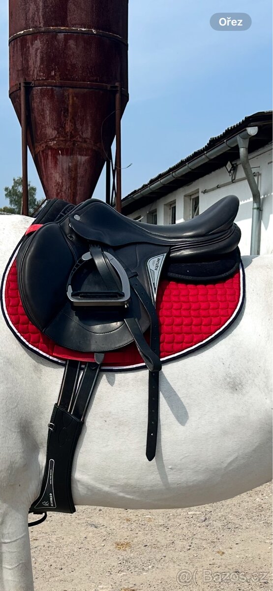 Equiline Elite
