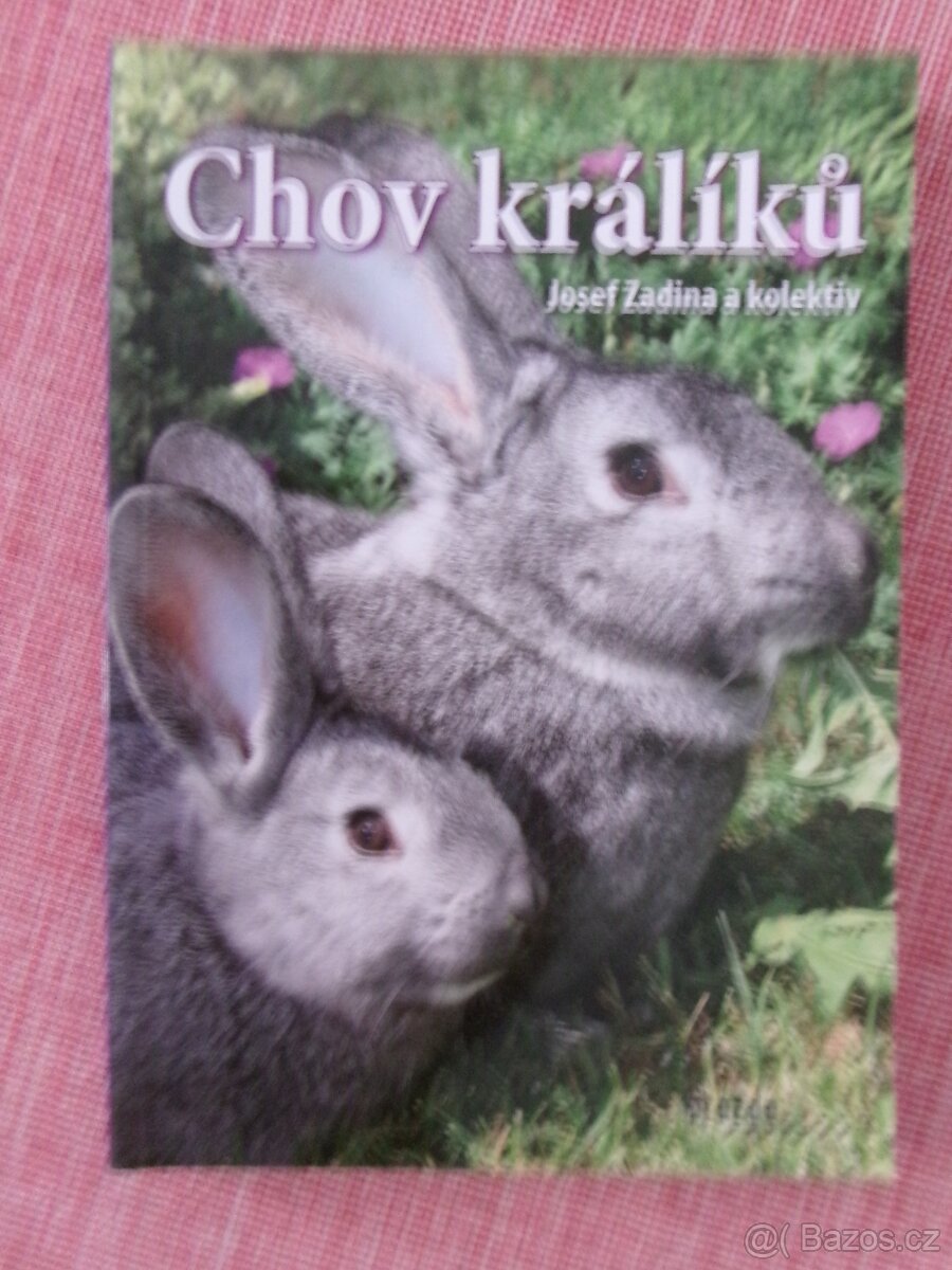 Chov králíků.