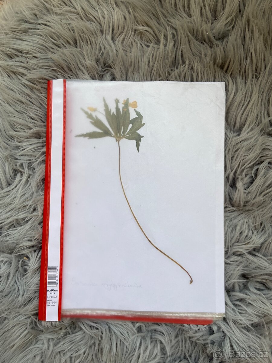 Rostliny do herbáře