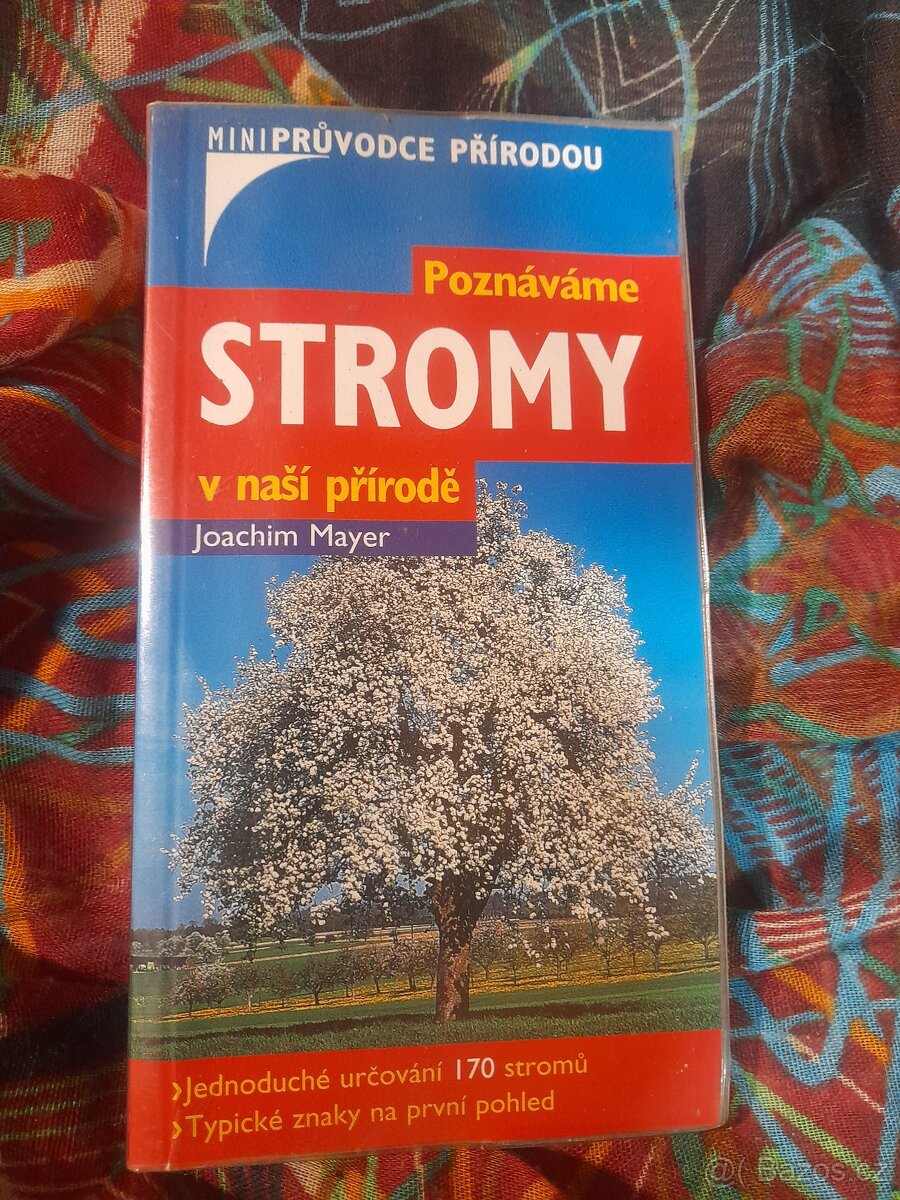 Poznáváme stromy v naší přírodě