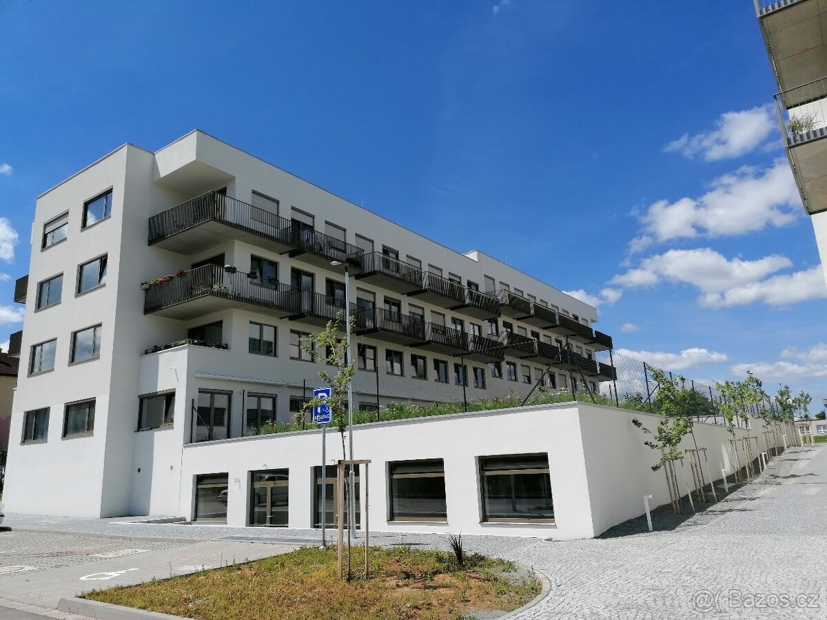 Pronájem bytu Letovice
