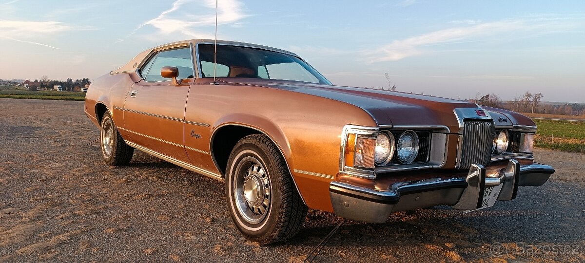 Cougar