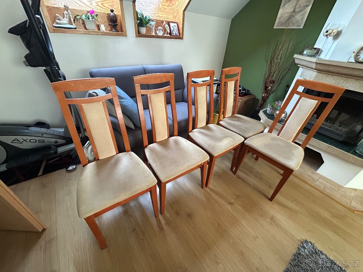 Jídelní židle 250,- kus