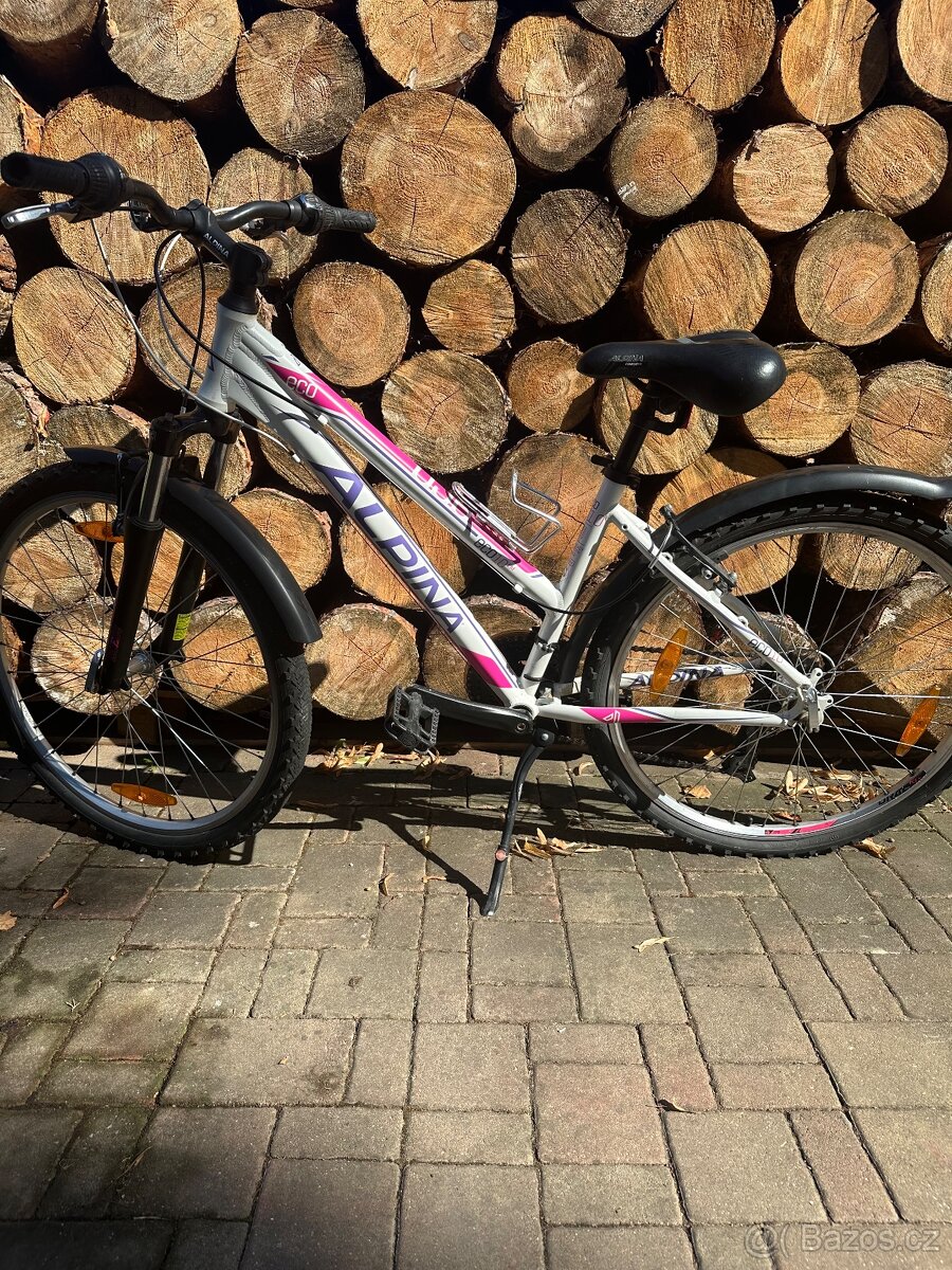 ALPINA Eco 10 lm “26” S