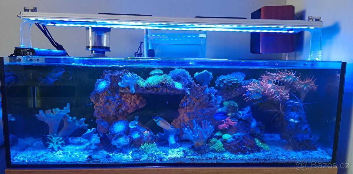 Mořské akvárium 300L