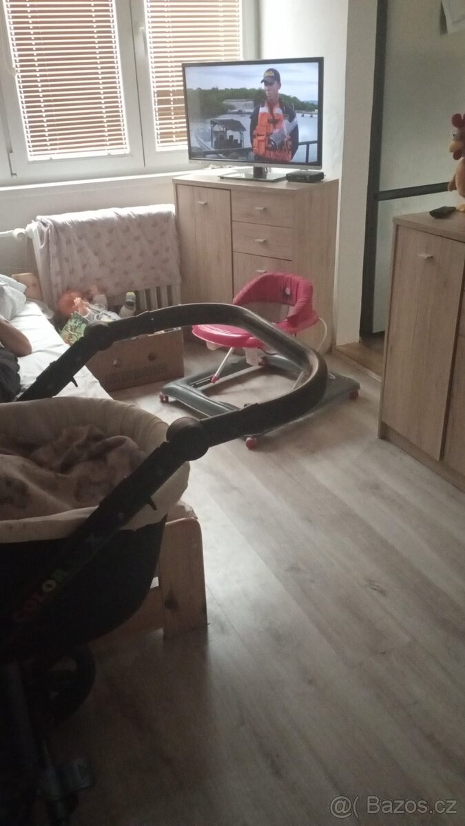 Prodej bytu 1+1 Bukovany u Sokolova