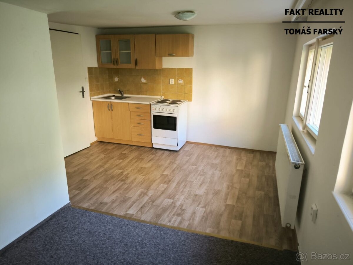Pronájem bytu 1+kk, 19m2, Teplická, Děčín
