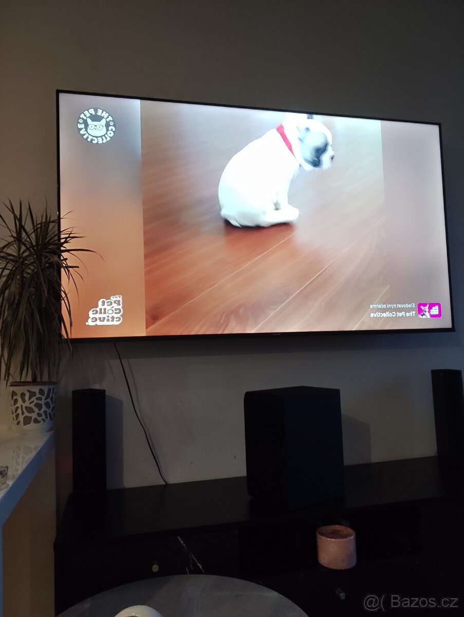 Hisense Tv