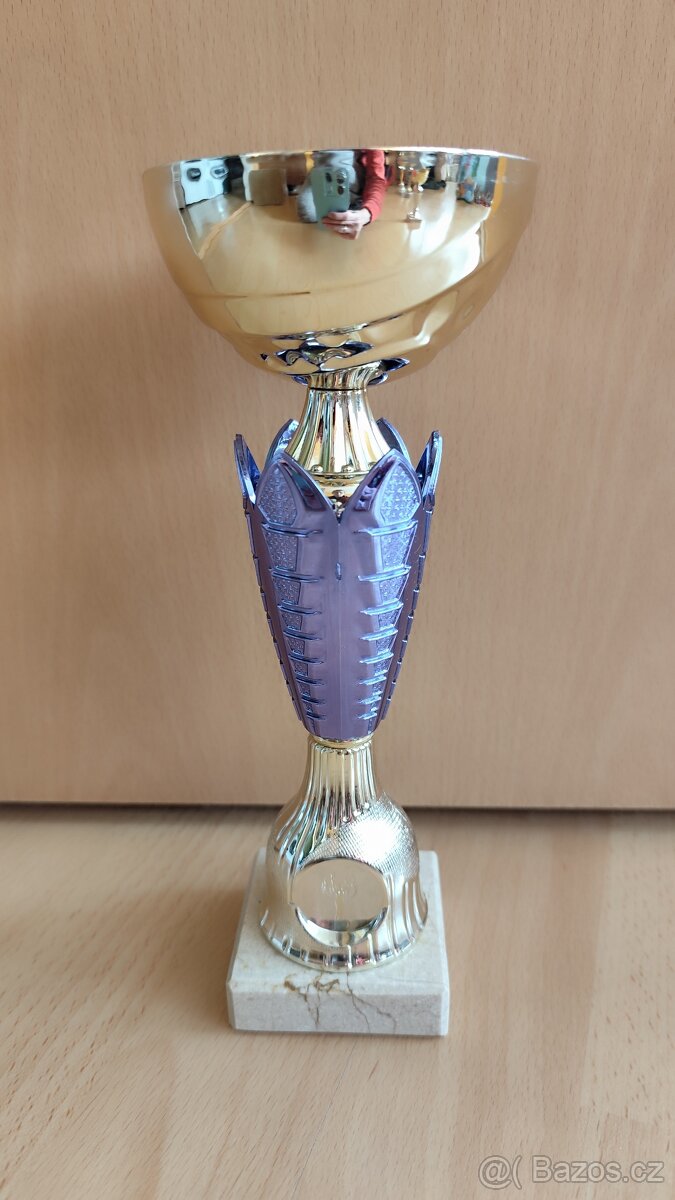 Sportovní pohár pro vítěze