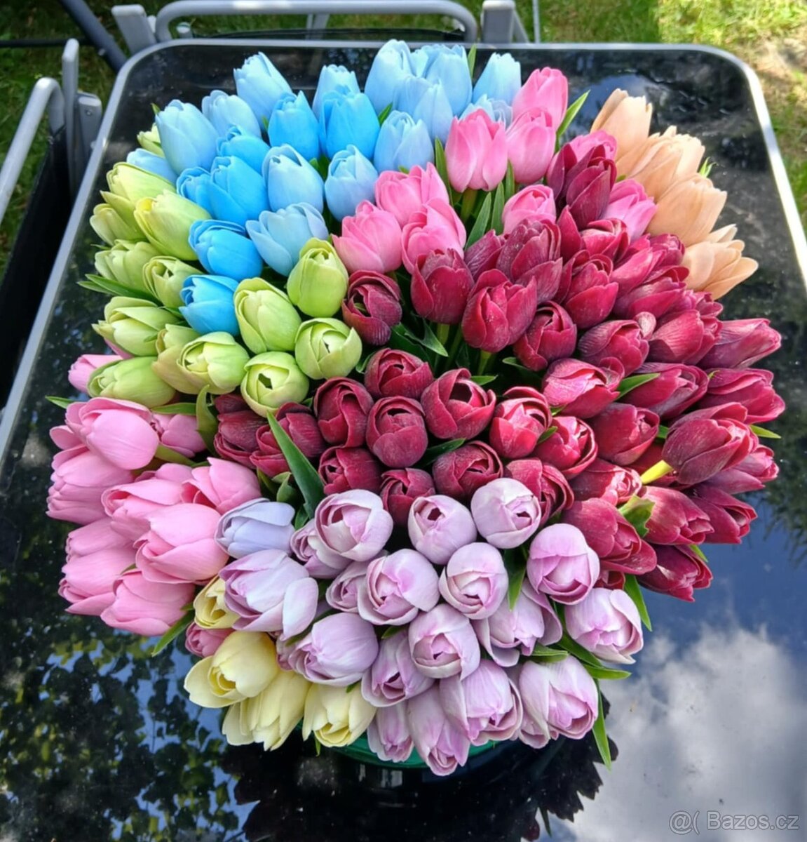 Tulipány 800 ks - VELKÁ SLEVA
