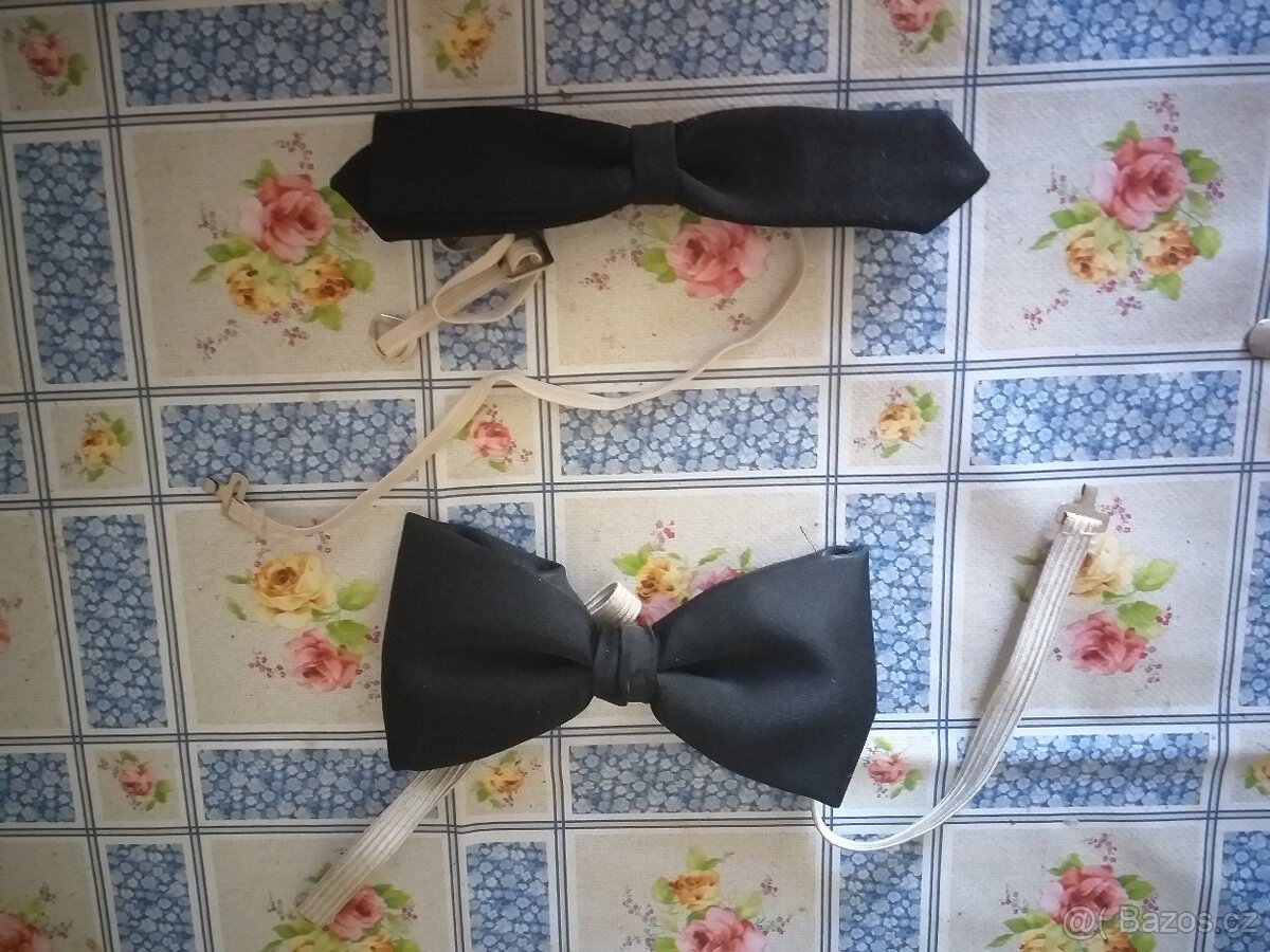 Pánský motýlek