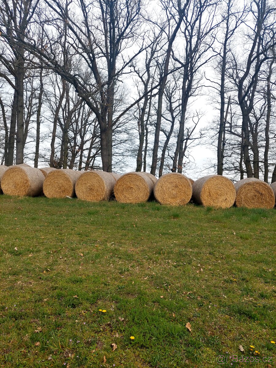 Sláma