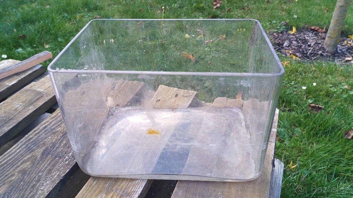 Rostlinné akvárium, hydroponie