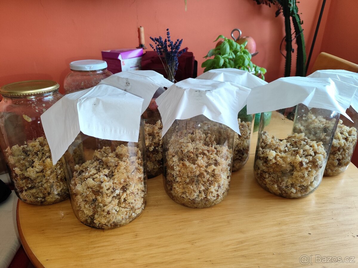 Prodám drobný přebytek letošní víčkovice z medu.