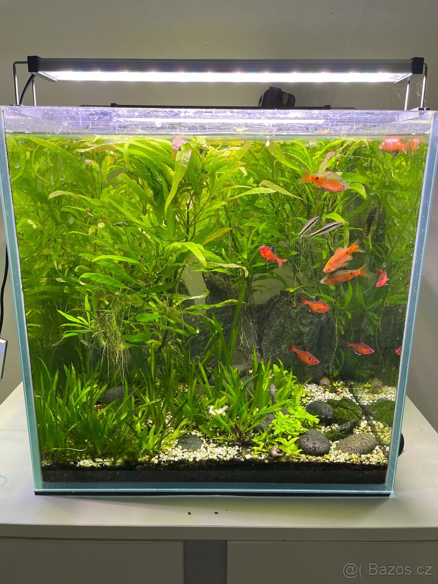 Aquascaping Akvárium 90L (45x45x45cm) s exkluzivní skříňkou.