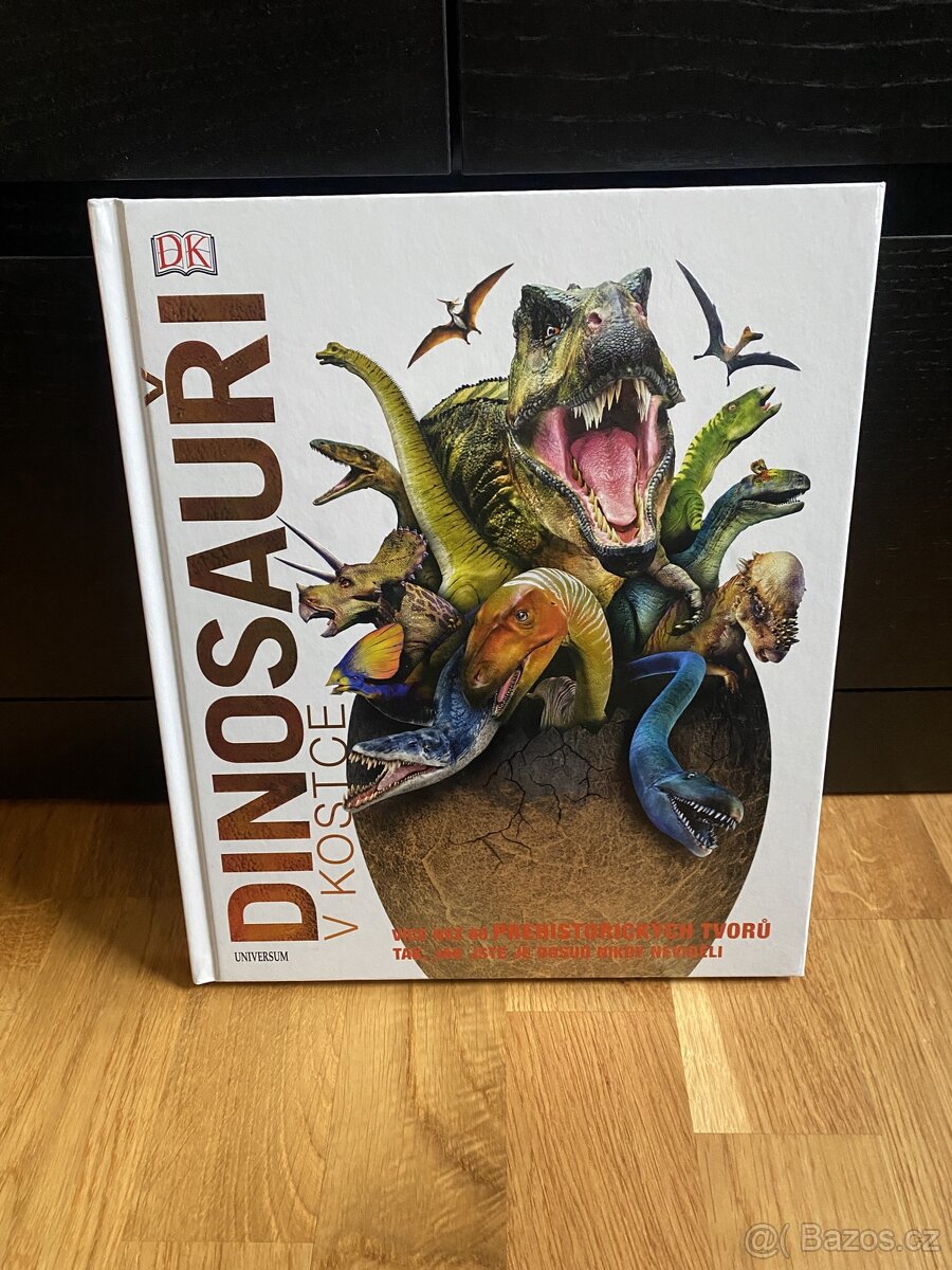 Dinosauři v kostce