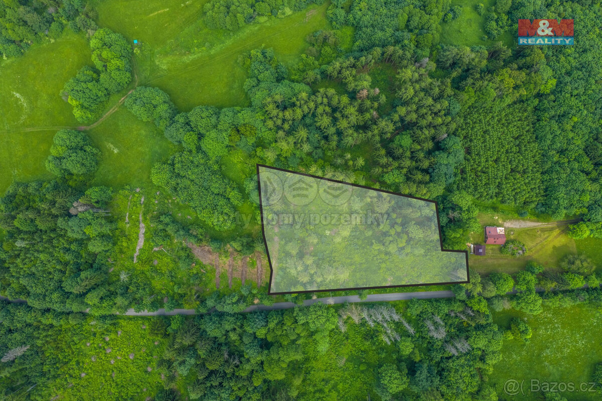 Prodej lesa, 7528 m², k.ú. Chuchelna