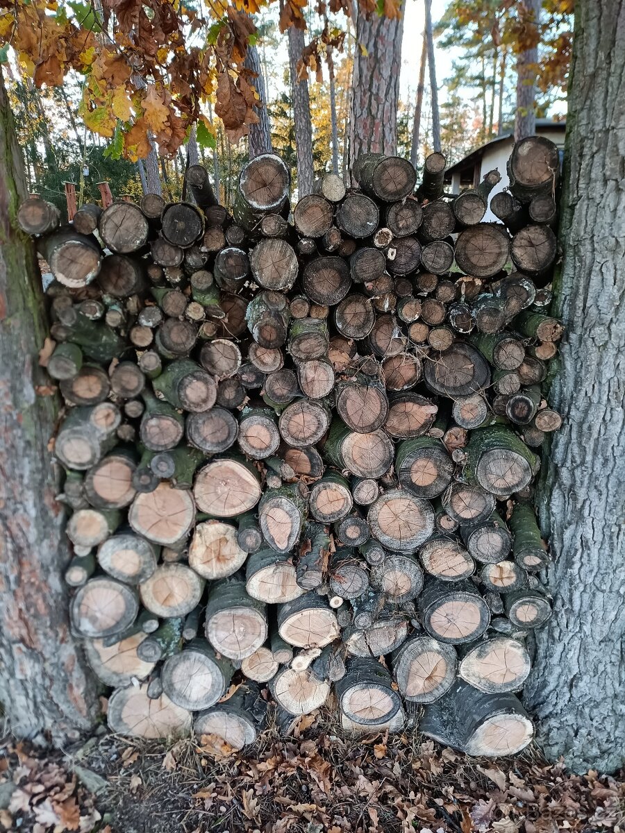 Třešňové dřevo na uzení