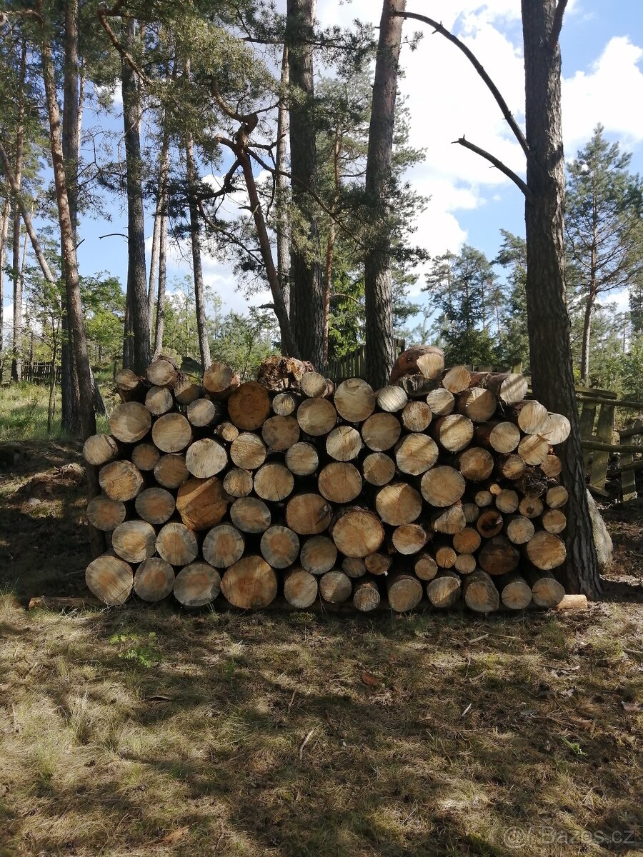 Palivové dřevo