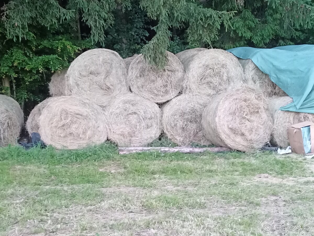Prodám balíky letošního sena