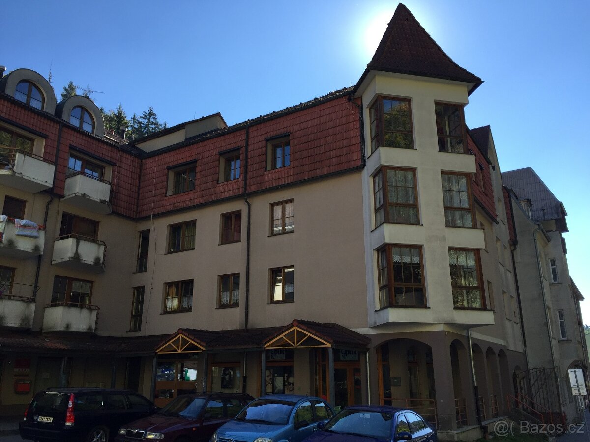 Prodej apartmánu 1+1, Jáchymov - K Lanovce 1048