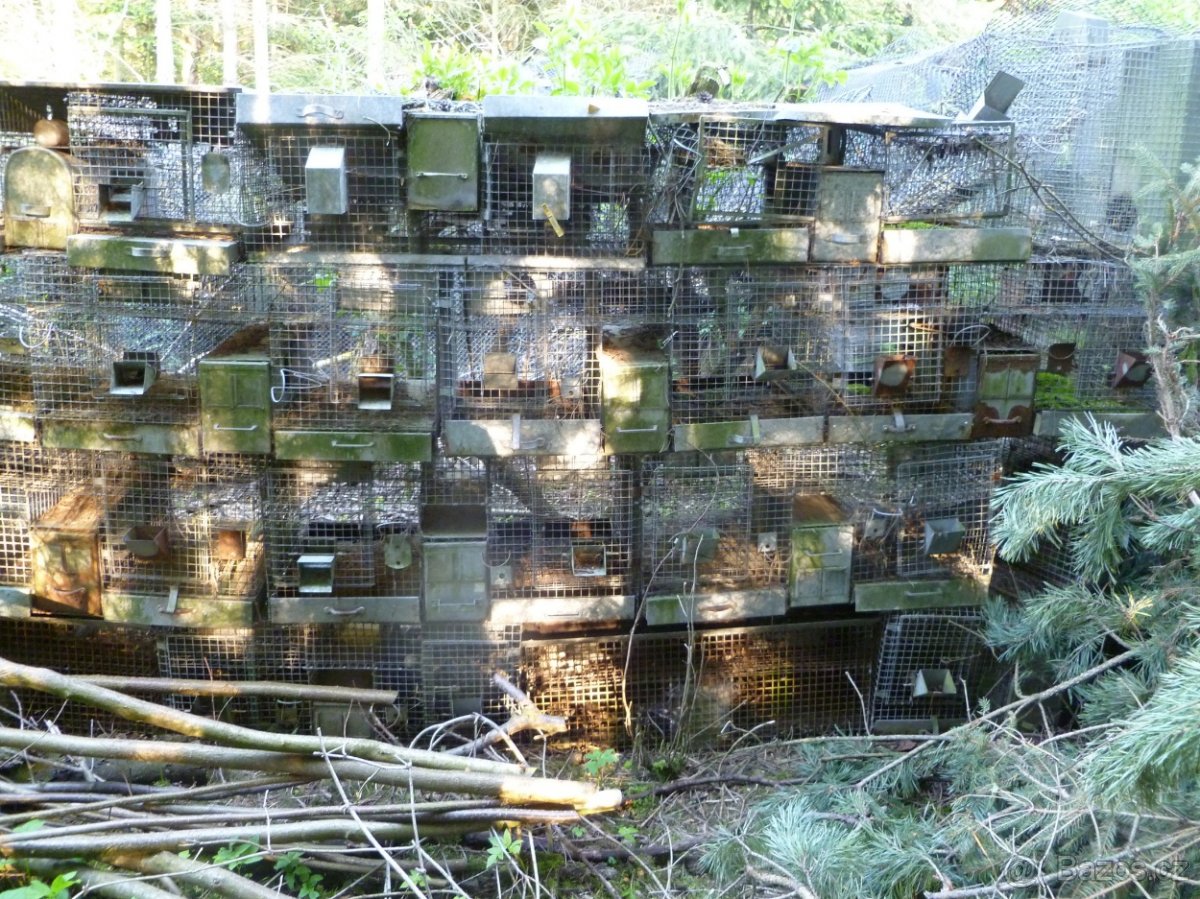 Klece z chovu činčil