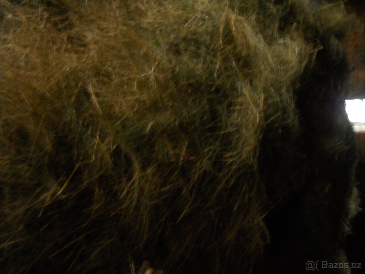 seno volně ložené