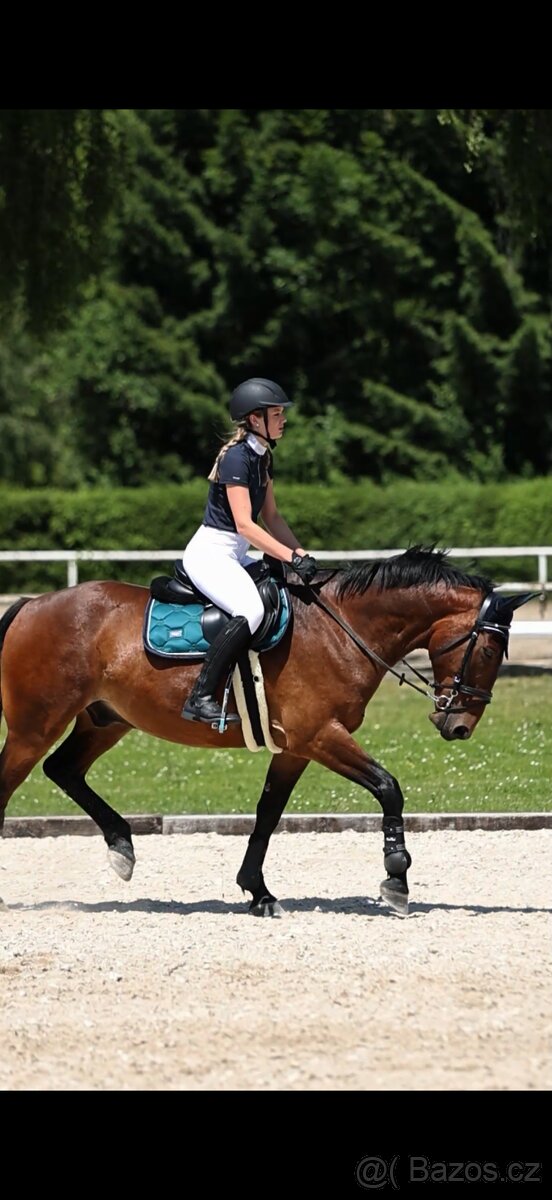 Docházka k valachovi