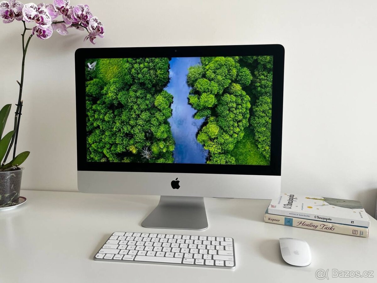 iMac (Retina 4K/21.5-inch/8GB/1Tb/2019)