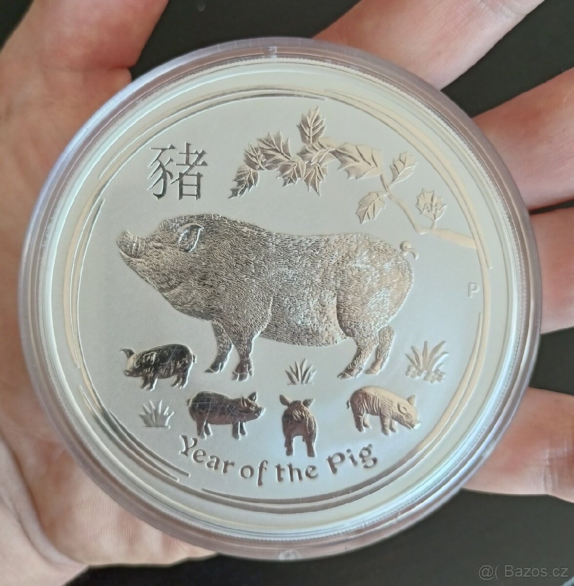 Stříbrná mince 10oz Year of Pig 2019 lunární série