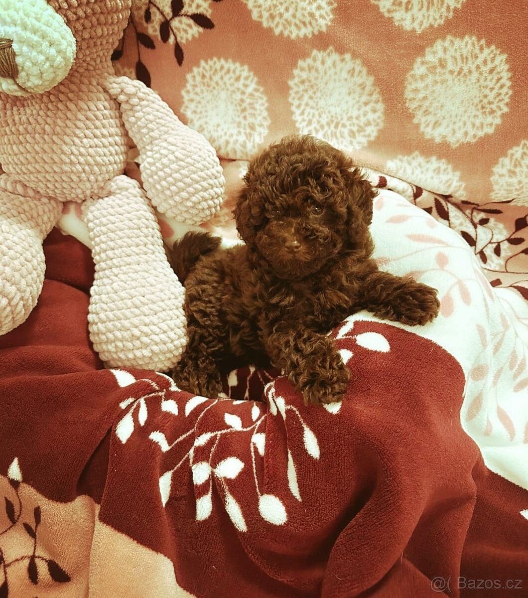 Pudl pudel pudlik toy