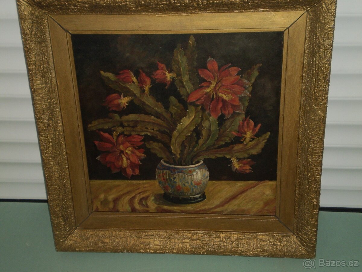 obraz - olej - kaktus - v rámu - -75 x 75 cm