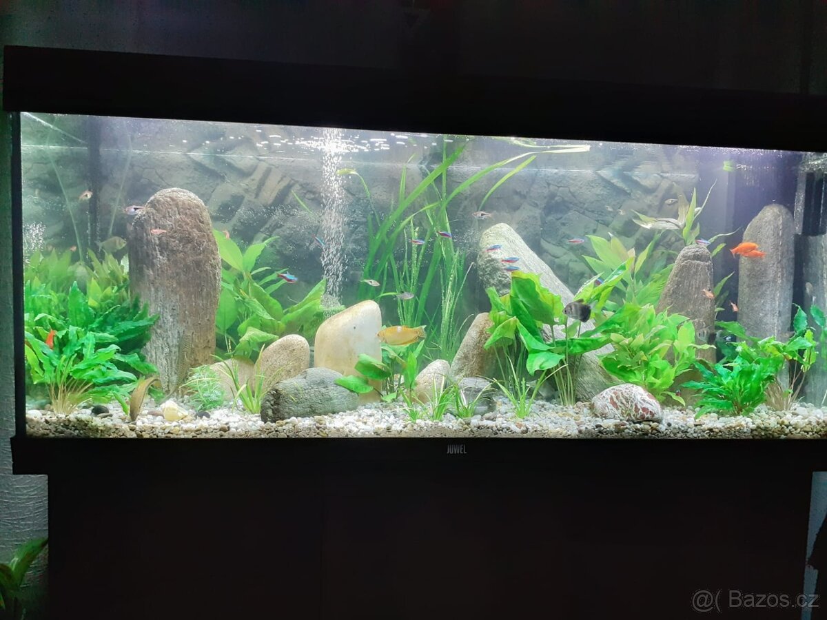 Akvarijní set Juwel Rio LED 240+ originální skříňka pod akvá