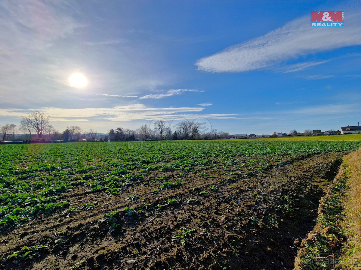 Prodej pozemku k bydlení, 4203 m², Opava - Kylešovice