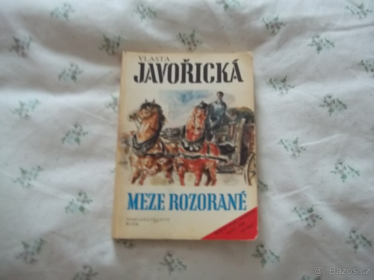 Khiha Vlasta Javořická