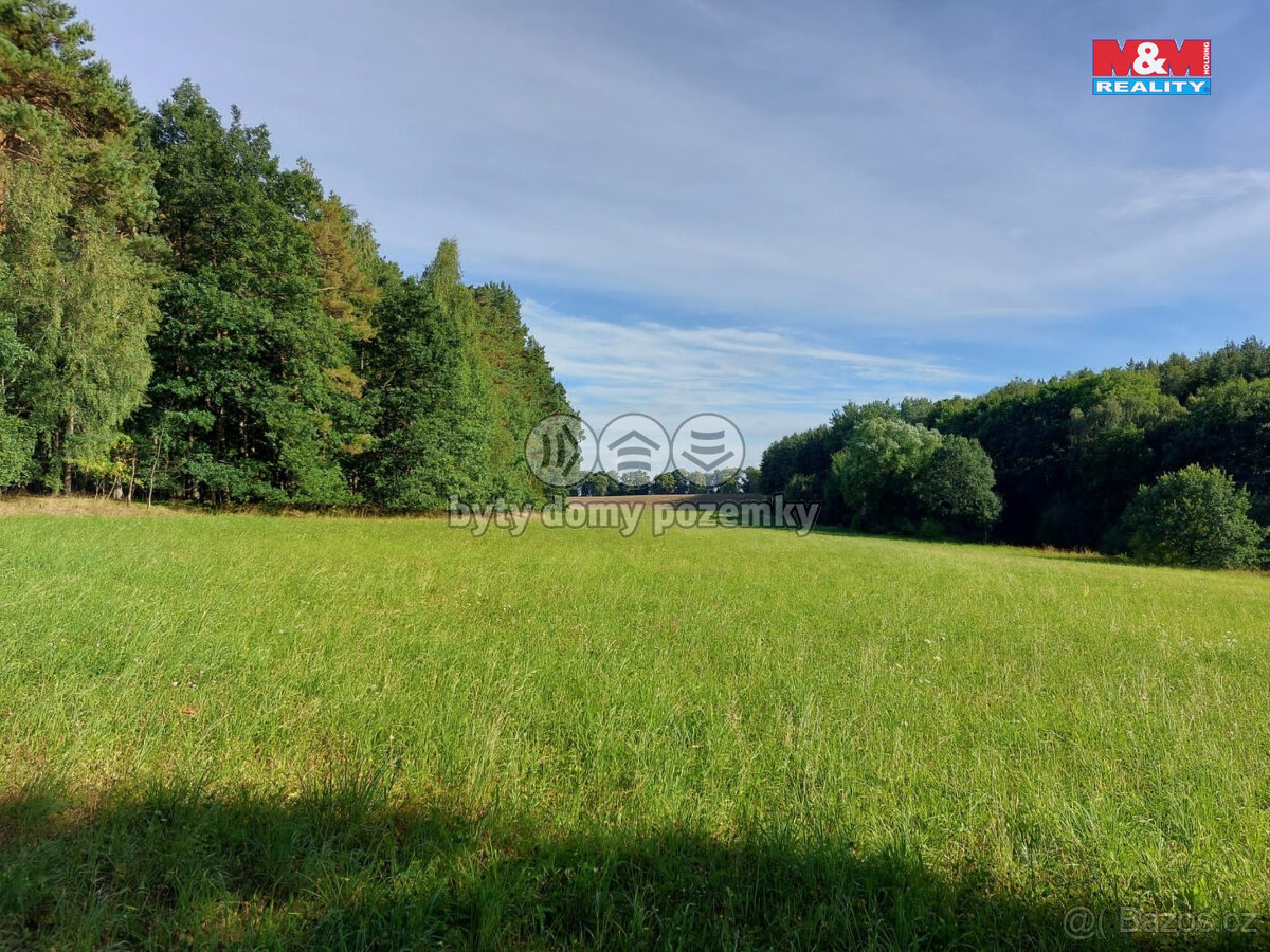 Prodej lesa, 4924 m², Paceřice