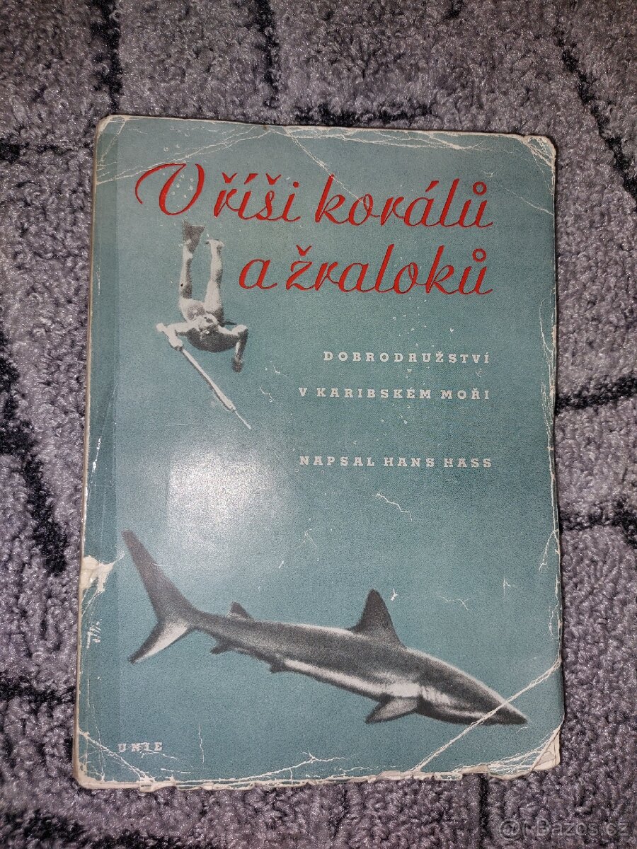 V říši korálů a žraloků