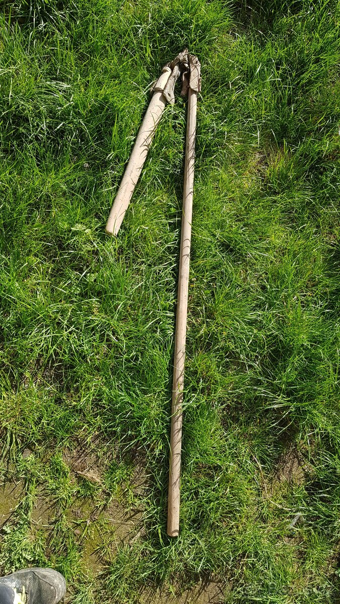 Cep