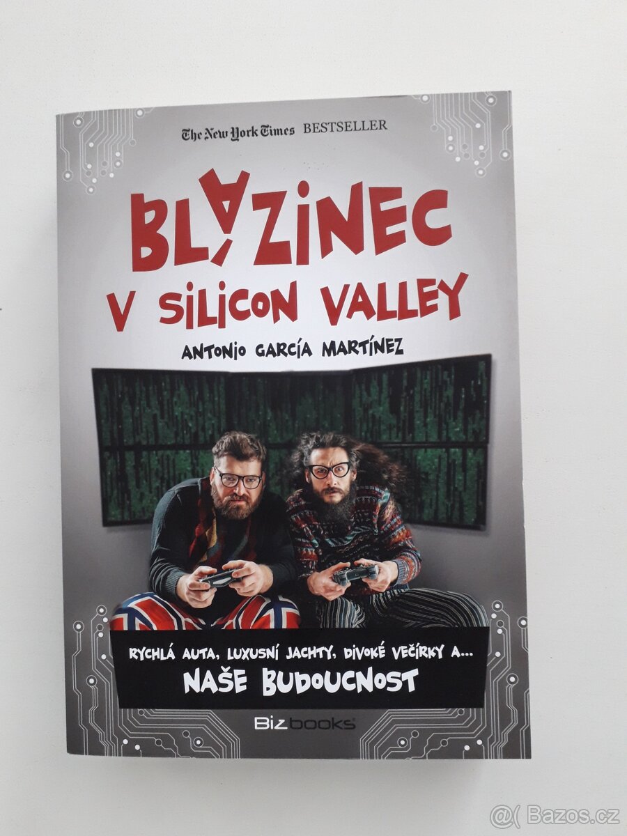 Blázinec v Silicon Valley - A. G. Martinez