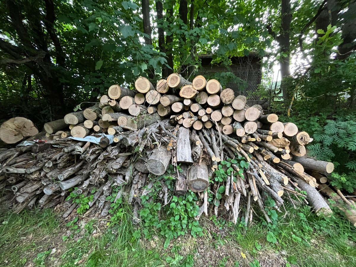 Palivové dřevo