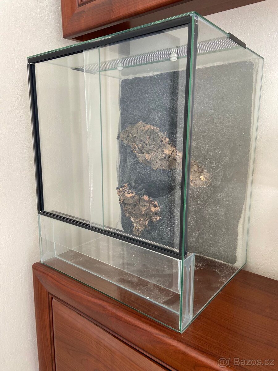 Terarium