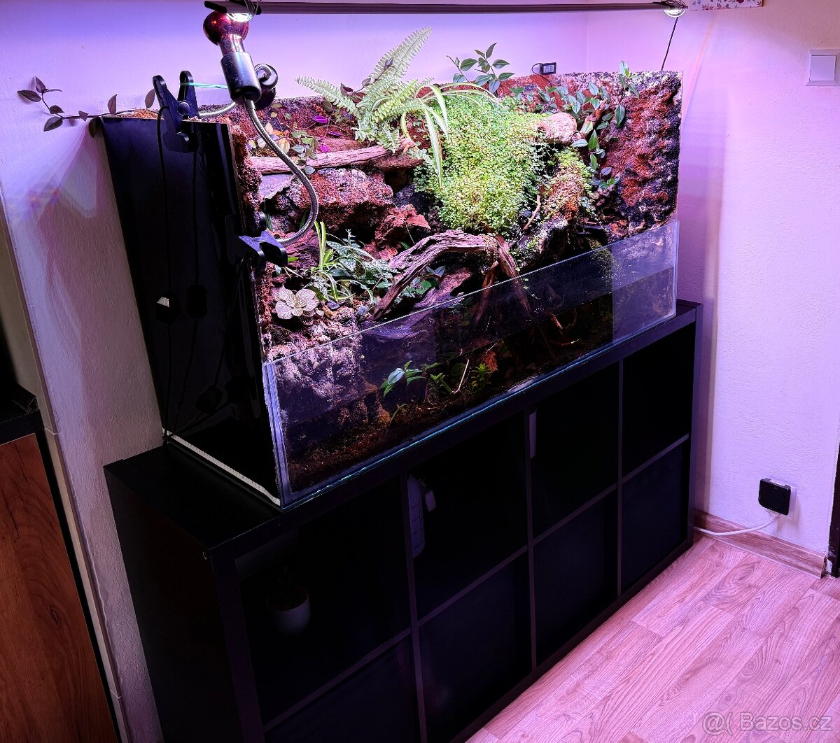 Paludarium, akvarium pro krevetky a kraby Geosesarma apod