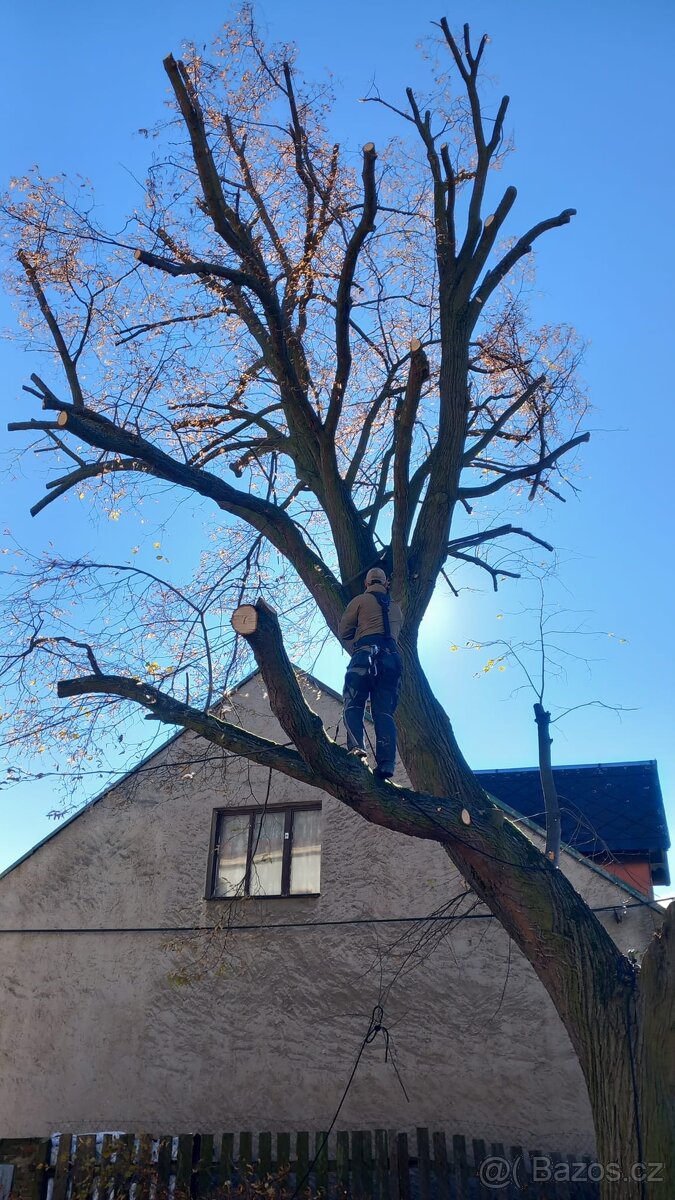 Výškové práce a kácení, rizikové kácení, řezání, úklid
